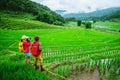 Lover asian man asian women travel nature Travel relax Walking a photo on the rice field in rainy season in Chiang Mai, Thailand Royalty Free Stock Photo