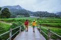 Lover asian man asian women travel nature. Walking a photo the rice field and stop take a break relax on the bridge at ban mae