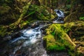 Lover`s Lane Falls, Sol Duc Wilderness Royalty Free Stock Photo