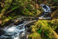 Lover`s Lane Falls, Sol Duc Wilderness Royalty Free Stock Photo