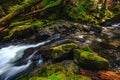 Lover`s Lane Falls, Sol Duc Wilderness Royalty Free Stock Photo