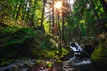 Lover`s Lane Falls, Sol Duc Wilderness Royalty Free Stock Photo