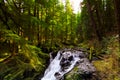 Lover`s Lane Falls, Sol Duc Wilderness Royalty Free Stock Photo