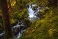 Lover`s Lane Falls, Sol Duc Wilderness Royalty Free Stock Photo