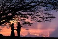 Lover under the tree Royalty Free Stock Photo