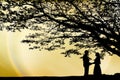 Lover under the tree Royalty Free Stock Photo