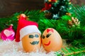 Lovers on Christmas, cartoon . Unusual eggs with faces, muzzle. Royalty Free Stock Photo