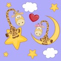 Lovers Giraffe