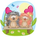 Lovers hedgehogs