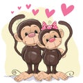 Lovers Monkeys Royalty Free Stock Photo