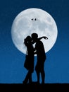 Lovers in the moonlight Royalty Free Stock Photo