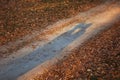 The lovers shadows on forest ground road. Couple kissing in autumn sunset