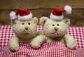 Lovers: two teddy bears sitting on christmas with hats in the be Royalty Free Stock Photo