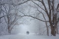 Lovers walking in the snow