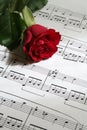 Lovesong Royalty Free Stock Photo