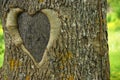 Lovetree Royalty Free Stock Photo