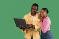 Loving african american man and woman using laptop on green Royalty Free Stock Photo