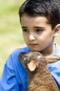 Loving boy lamb Royalty Free Stock Photo