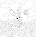 Loving bunny with a white daisy