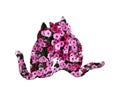 Loving cats made of pink petunia flowers isolated on white background Royalty Free Stock Photo