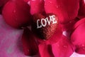 LOVING CONCEPT with red rose petals and printed word of LOVE on the red heart shape Royalty Free Stock Photo