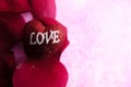 LOVING CONCEPT with red rose petals and printed word of LOVE on the red heart shape Royalty Free Stock Photo