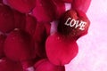 LOVING CONCEPT with red rose petals and printed word of LOVE on the red heart shape Royalty Free Stock Photo