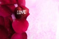 LOVING CONCEPT with red rose petals and printed word of LOVE on the red heart shape Royalty Free Stock Photo