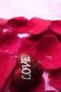 LOVING CONCEPT with red rose petals and printed word of LOVE on the red heart shape Royalty Free Stock Photo