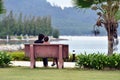 Loving couple on a bench