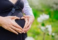 Loving couple with heart shape hands around pregnant belly Royalty Free Stock Photo