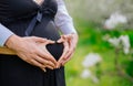 Loving couple with heart shape hands around pregnant belly Royalty Free Stock Photo