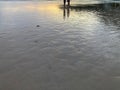 Loving couple is holding hands and strolling on the beach with a scene of the twilight sunset Royalty Free Stock Photo