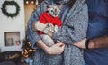 Loving couple holds a Sphinx cat