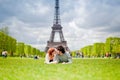 Loving couple kissing near the Eiffel Tower in Paris Royalty Free Stock Photo