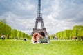 Loving couple kissing near the Eiffel Tower in Paris