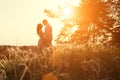 Loving couple kissing at sunset Royalty Free Stock Photo