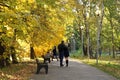 Loving couple takes a selfie on the phone, walking in the autumn