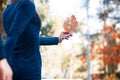 Loving couple on a walk in the autumn park holding hands Royalty Free Stock Photo