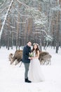 Loving couple walking, hugging and kissing, in winter snowy forest. Herd of deer on the background. Winter wedding. Royalty Free Stock Photo