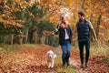 Loving Couple Walking With Pet Golden Retriever Dog Along Autumn Woodland Path Through Trees Royalty Free Stock Photo