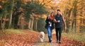 Loving Couple Walking With Pet Golden Retriever Dog Along Autumn Woodland Path Through Trees Royalty Free Stock Photo