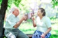 Loving elderly couple blowing on dandelions