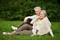 Portrait of elderly couple in summer park Royalty Free Stock Photo