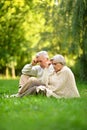 Portrait of loving elderly couple sitting on green grass in the summer park Royalty Free Stock Photo