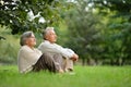 Portrait of elderly couple sitting on green grass in the summer park Royalty Free Stock Photo