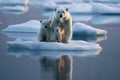 Loving family of polar bears stands together on a beautiful array of icebergs