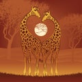 Loving giraffes