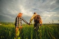 Loving hipster couple walking in the field, kissing and holding hands, hugging, lying in the grass in the summer at sunset. Royalty Free Stock Photo