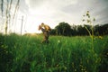 Loving hipster couple walking in the field, kissing and holding hands, hugging, lying in the grass in the summer at sunset. Royalty Free Stock Photo